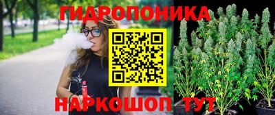 каннабис Новодвинск