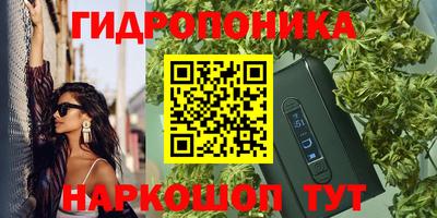каннабис Новодвинск