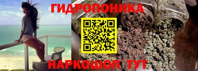 стафф Новозыбков