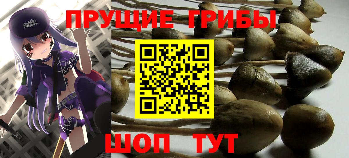 Галлюциногенные грибы мицелий Тверь