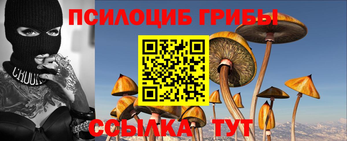 Псилоцибиновые грибы Magic Shrooms  где можно купить   Тверь  Вход с VPN 